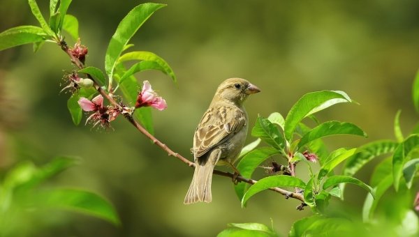 Blog 5