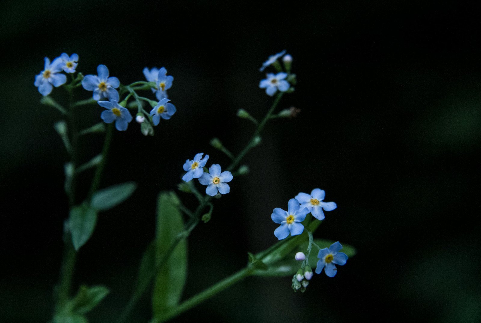 Blog 3