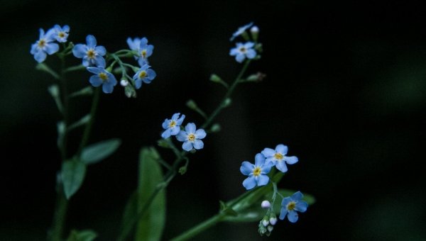 Blog 3